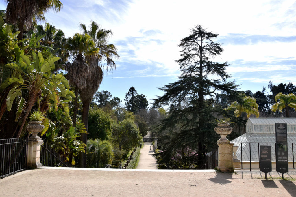 Jardin botanique de Coimbra